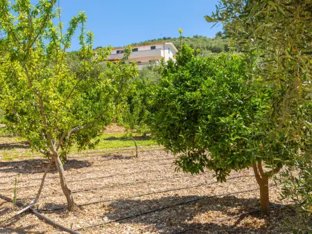 Villa Tavaglione, Appartement 4 personnes à Peschici - Photo 14