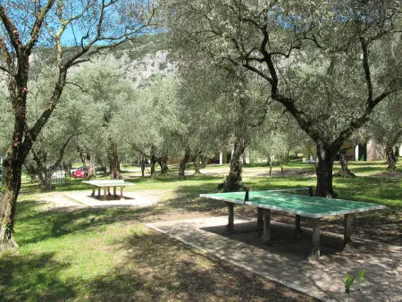 Parco del Garda, Appartement 3 personnes à Garda - Photo 23