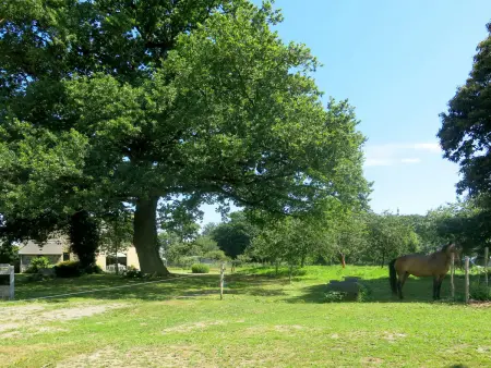 Le Petit Maître, Maison 6 personnes à Le Tronchet - Photo 18