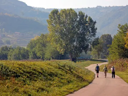 Kušar, Maison 5 personnes à Motovun - Photo 23