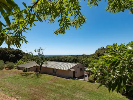 Maison Gerard, Maison 6 personnes à Cervione Castagniccia - Photo 22