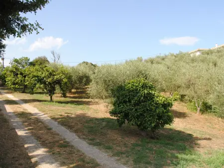 Maison Gerard, Maison 6 personnes à Cervione Castagniccia - Photo 24