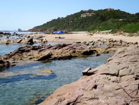 Fium del Cavu, Maison 4 personnes à Pinarellu - Photo 20