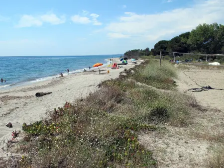 Rico Plage type A, Maison 2 personnes à San Nicolao - Photo 20
