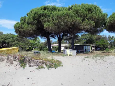 Rico Plage type A, Maison 2 personnes à San Nicolao - Photo 21