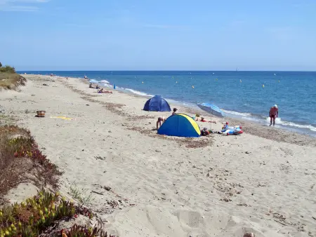 Rico Plage type A, Maison 2 personnes à San Nicolao - Photo 23