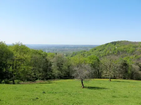 La Salesse, Gite 6 personnes à Meyssac - Photo 19