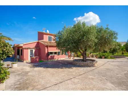 Sa Olivera, Maison 4 personnes à Alcúdia - Photo 34