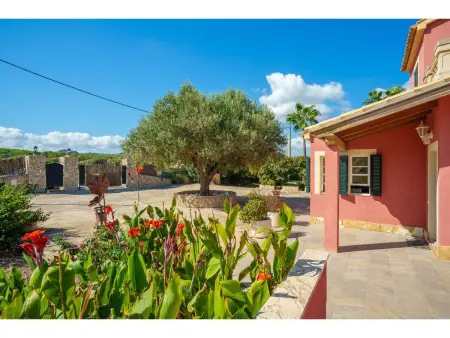 Sa Olivera, Maison 4 personnes à Alcúdia - Photo 35
