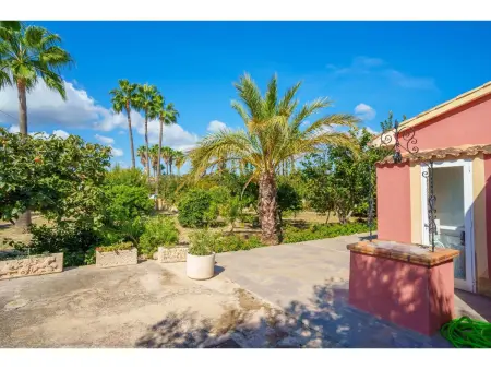 Sa Olivera, Maison 4 personnes à Alcúdia - Photo 37