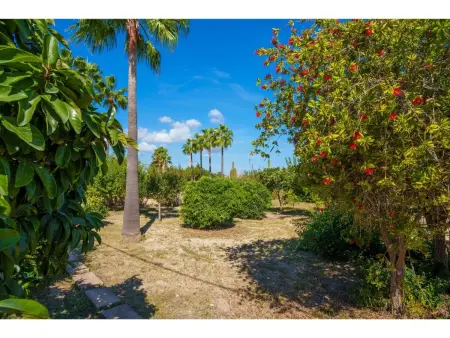 Sa Olivera, Maison 4 personnes à Alcúdia - Photo 40