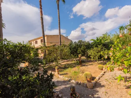 Ses Sitjoles, Maison 6 personnes à Campos - Photo 43