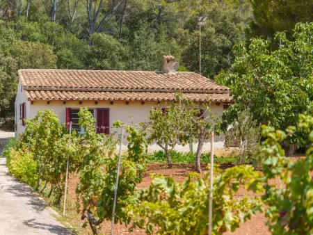 Ullastro Pollença, Maison 8 personnes à Pollença - Photo 35
