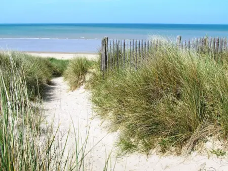 Néroli, Maison 4 personnes à Hauteville sur Mer - Photo 23