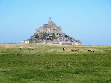 La Haute Gilberdière, Gite 4 personnes à Sartilly - Photo 17