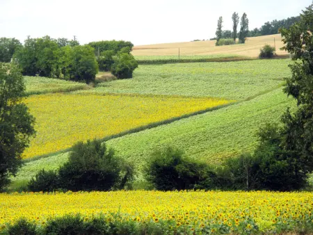 Marquefabe, Gite 3 personnes à Labretonie - Photo 16