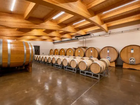Collina San Ponzio, Maison 6 personnes à Barolo - Photo 29