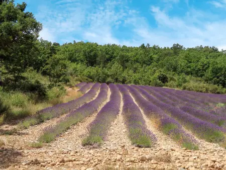 La Chênaie, Gite 2 personnes à Oraison - Photo 18