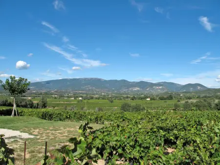 Les Lilas Blancs, Maison 6 personnes à Valreas - Photo 11