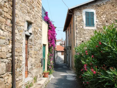 Marisa (DOL126), Appartement 4 personnes à Dolcedo - Photo 27