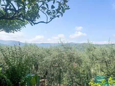 Marisa (DOL126), Appartement 4 personnes à Dolcedo - Photo 30