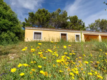 Gli Scalitti, Maison 4 personnes à Badesi - Photo 3