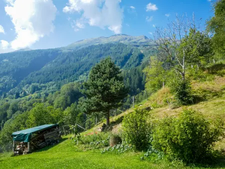Rustico Girasole, Maison 4 personnes à Leontica - Photo 21