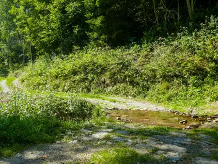Rustico Girasole, Maison 4 personnes à Leontica - Photo 28