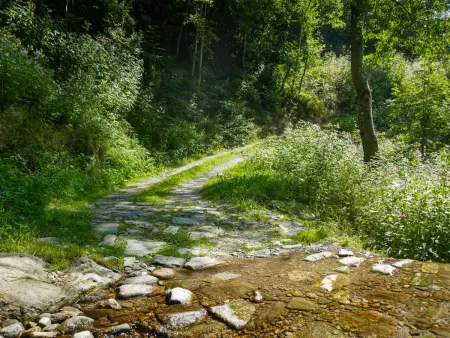 Rustico Girasole, Maison 4 personnes à Leontica - Photo 29