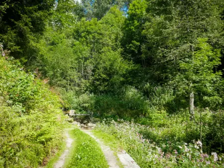 Rustico Girasole, Maison 4 personnes à Leontica - Photo 30