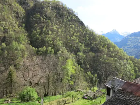 Rustico Diego, Maison 4 personnes à Malvaglia - Photo 30