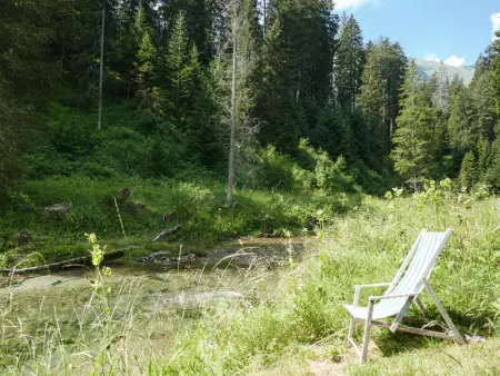 Felice, Maison 5 personnes à Olivone - Photo 31