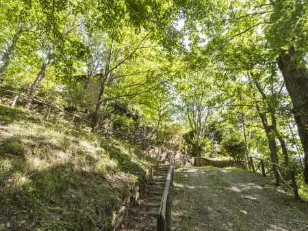 Cottage Contadina, Maison 4 personnes à Cortona - Photo 19
