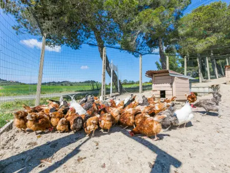 La Carraia, Gite 5 personnes à Bibbona - Photo 42