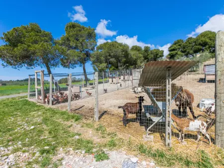 La Carraia, Gite 5 personnes à Bibbona - Photo 45