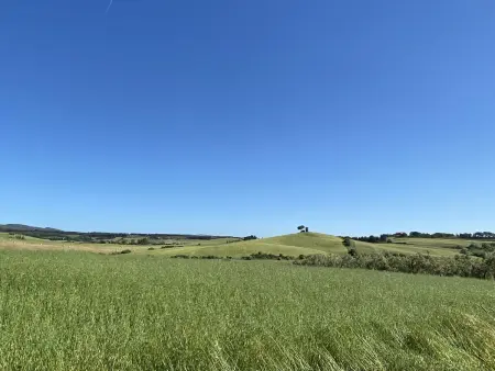 La Carraia, Gite 5 personnes à Bibbona - Photo 49
