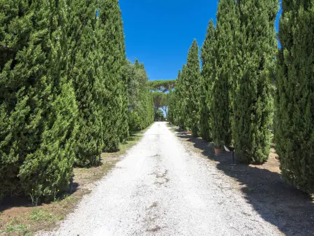 Podere Tre Termini, Appartement 4 personnes à Cecina - Photo 3