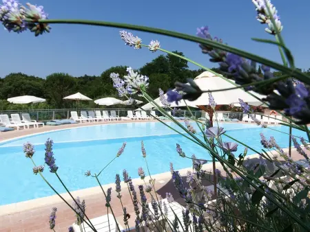 Il Borgo, Maison 5 personnes à Guardistallo - Photo 14