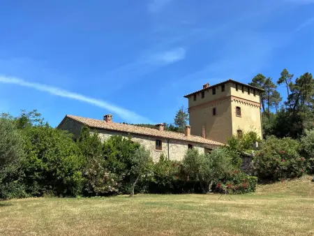 Daino, Appartement 4 personnes à Riparbella - Photo 34