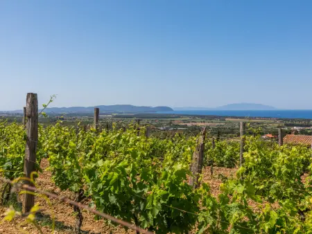 Il Corbezzolo, Maison 4 personnes à San Vincenzo - Photo 37