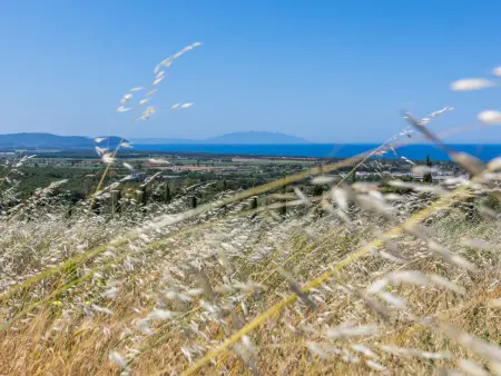 Il Corbezzolo, Maison 6 personnes à San Vincenzo - Photo 44