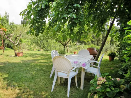 Podere Conte Francesco-La Palma, Maison 6 personnes à Certaldo - Photo 3