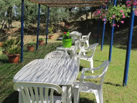 Podere Conte Francesco-La Palma, Maison 6 personnes à Certaldo - Photo 31