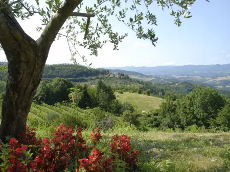 La Fonte, Gite 4 personnes à Dicomano - Photo 16