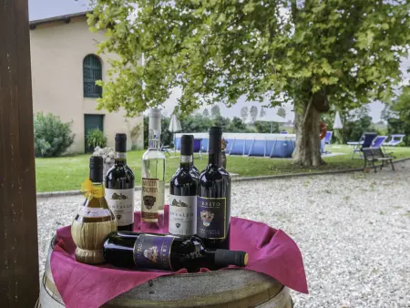 Casa Girasole (SMN101), Maison 13 personnes à San Miniato - Photo 84