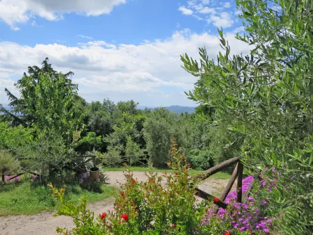 Fonte - Borgo la Civitella, Gite 3 personnes à Roccastrada - Photo 11