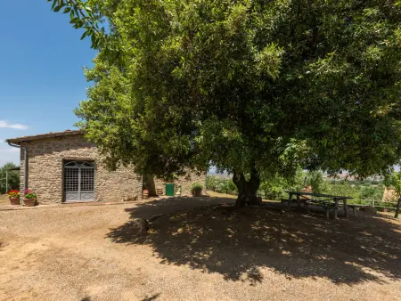 Bardi II, Maison 6 personnes à Scansano - Photo 37