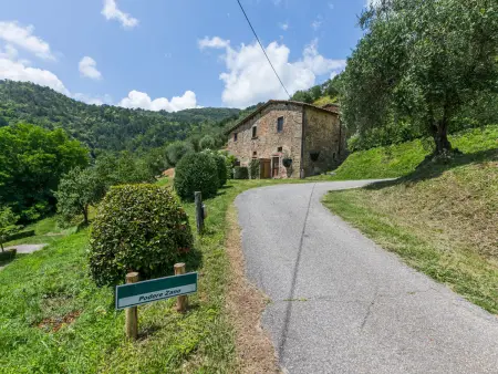 Podere Zano, Maison 6 personnes à Pescia - Photo 34