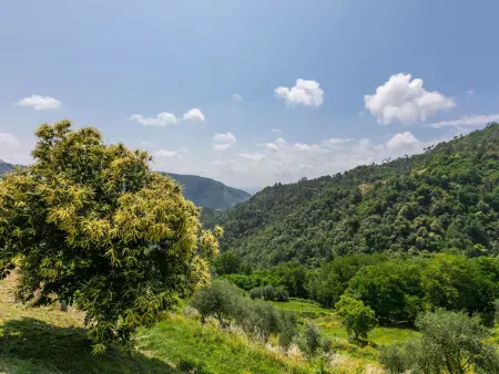 Podere Cima a Zano / Apt.Fienile PCA107, Appartement 2 personnes à Pescia - Photo 28