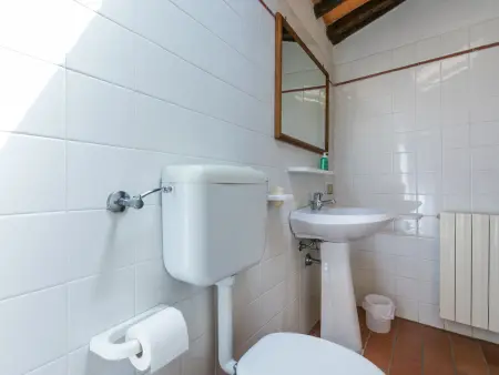 Podere Cima a Zano / Apt.Alfiero, Appartement 4 personnes à Pescia - Photo 22